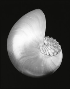 Robert_Mapplethorpe