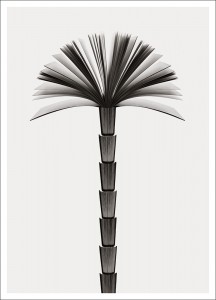 LIBRO_PALMERA