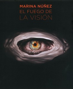 EL_FUEGO_DE_LA_VISION