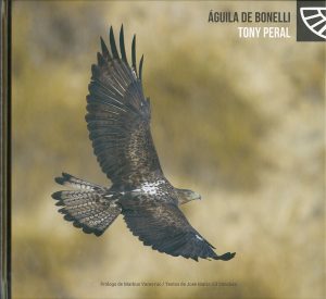 AGUILA_DE_BONELLI_ARTES_GRAFICAS_PALERMO